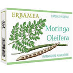 Moringa oleifera - 24 capsule