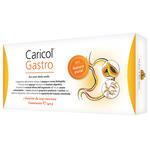 Caricolgastro - Caricol-gastro 7 bustine da 20 g senza lattosio