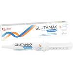 Glutamax advanced siringa dosatrice 30 ml