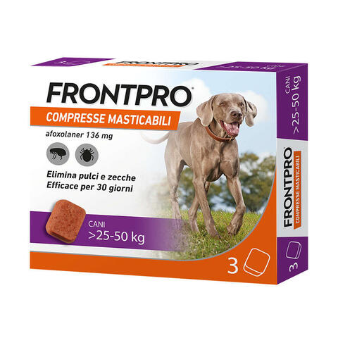 Frontpro - 