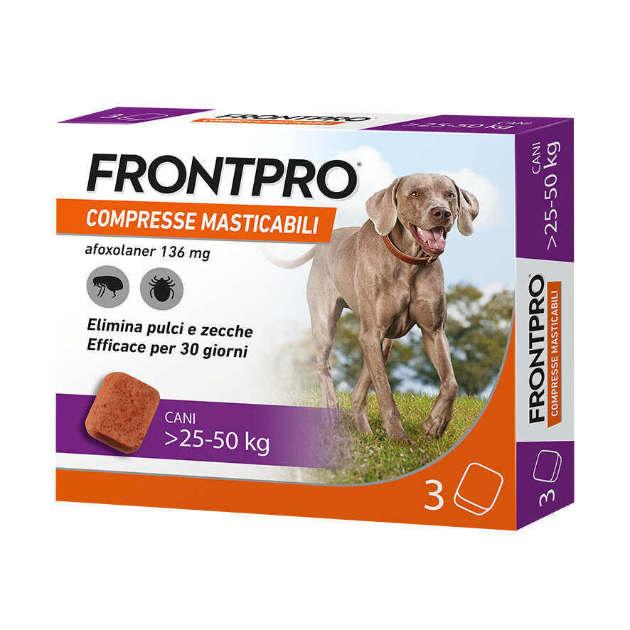 Frontpro - 