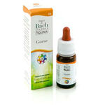 Gorse  gocce 10 ml