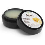 Apix - Propoli pomata lenitiva naso labbra 8 ml biosline