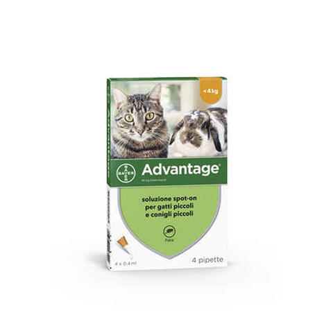 Advantage - ADVANTAGE*4PIP 0,4ML SPOTON <4kg