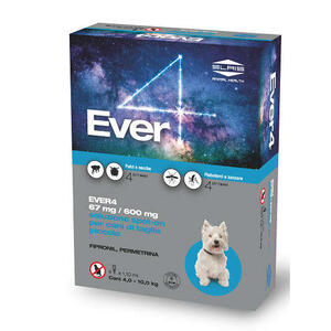 Ever - 