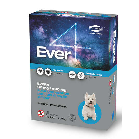 Ever - 