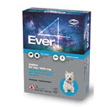 Ever - 
