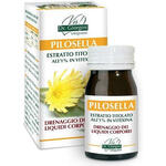 Giorgini - Pilosella estratto titolato 60 pastiglie