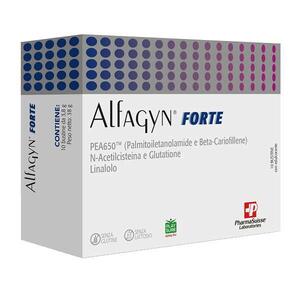 Forte - Alfagyn  10 bustine