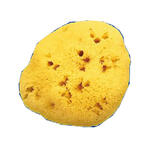 Farmacare - Spugna naturale fori l 12/13cm 9