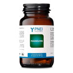 Magnolmin 60 capsule 24 g
