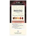 Phyto - Color kit color 6,66 castano intenso rosso ciliegia 1 latte rivelatore 50 ml + 1 crema colorante 50 ml + 1 maschera prolunga colore 10 ml + 1 paio di guanti