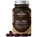 Mico-vir+ - Mico vir+ 70 capsule