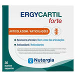 Laboratori nutergia - Ergycartil forte 30 bustine 4,4 g