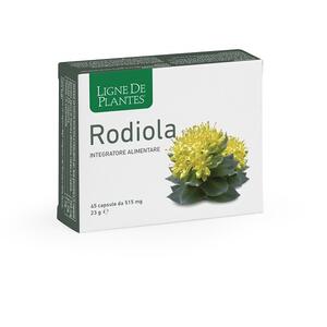 Rodiola - 45 capsule