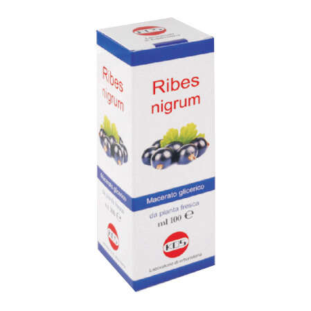 Macerato glicerico - Ribes nigrum  100 ml gocce