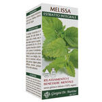 Giorgini - Melissa estratto integrale 200 ml