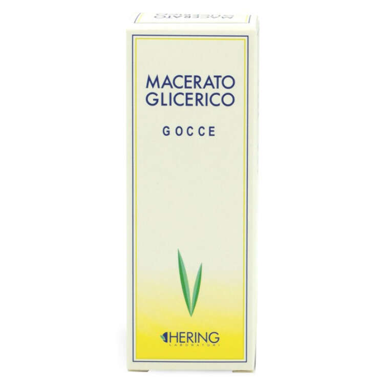 Macerato glicerico - Tilia tomentosa gemme  60 ml