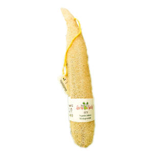 Luffa intera luxuria - Laura spluf  oltre 50 cm