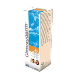 Clorexyderm - Sol 4% schiuma 100 ml