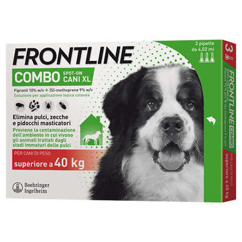 Frontline - 