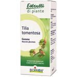 Boiron - Tilia tomentosa  macerato glicerico 60 ml