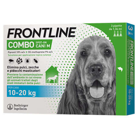 Frontline - 