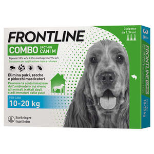 Frontline - 