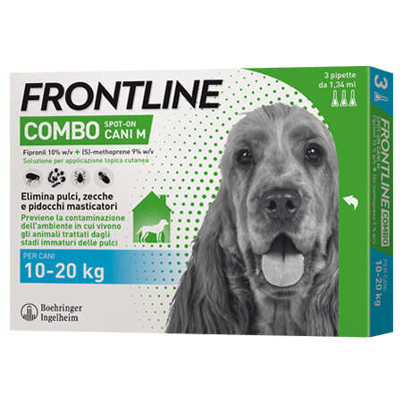 Frontline - 