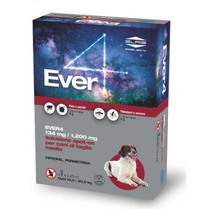 Ever - 