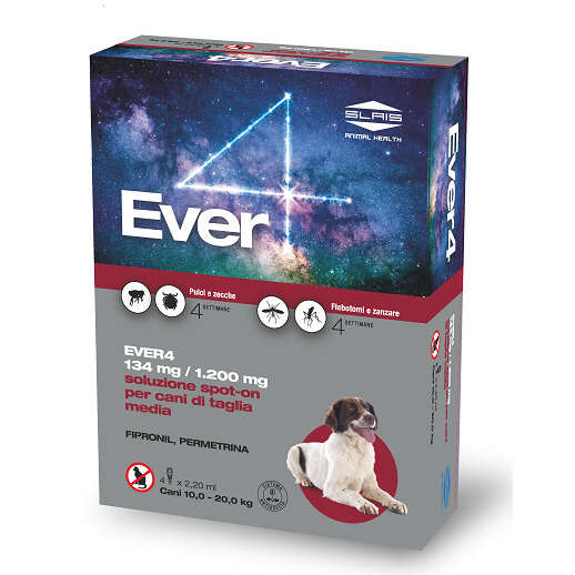Ever - 