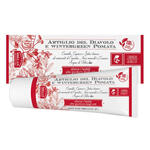 Artiglio diavolo wintergreen pomata 75 ml