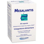 Mesalantis - 30 capsule