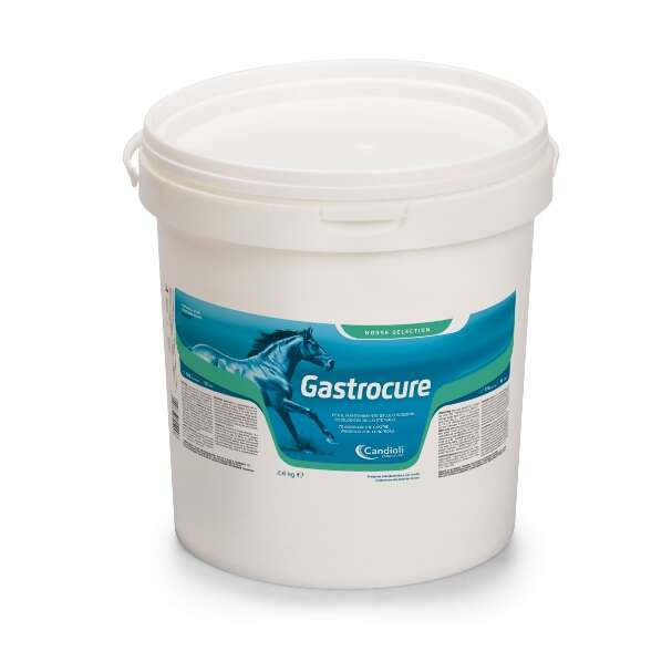 Candioli - Gastrocure secchiello 2,6 kg