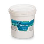 Candioli - Gastrocure secchiello 2,6 kg