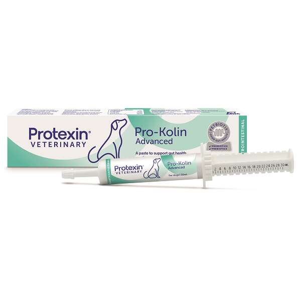 Prokolin advanced dog - Pasta 30 ml