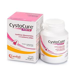 Cystocure - Forte barattolo 30 compresse