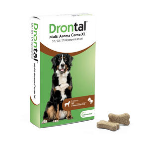 Drontal - 