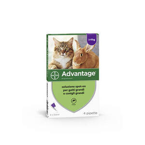 Advantage - 