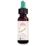 Alchimia benoit - Brave remedy 10 ml