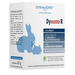 Dynamopet - Dynamo r 20 bustine da 2 g