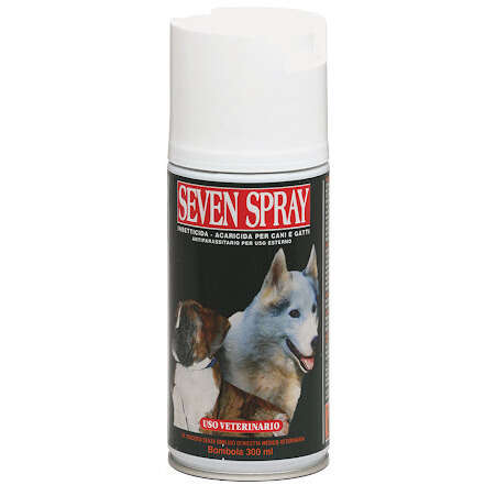 Seven - 