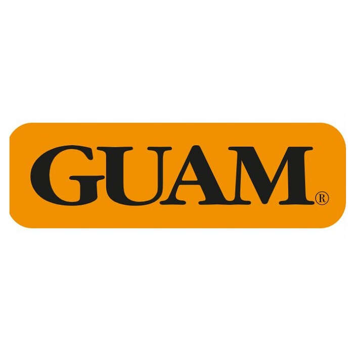 Guam - Panty ventre piatto snellente xs-s 38-40