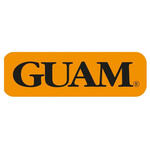 Guam - Panty ventre piatto snellente xs-s 38-40