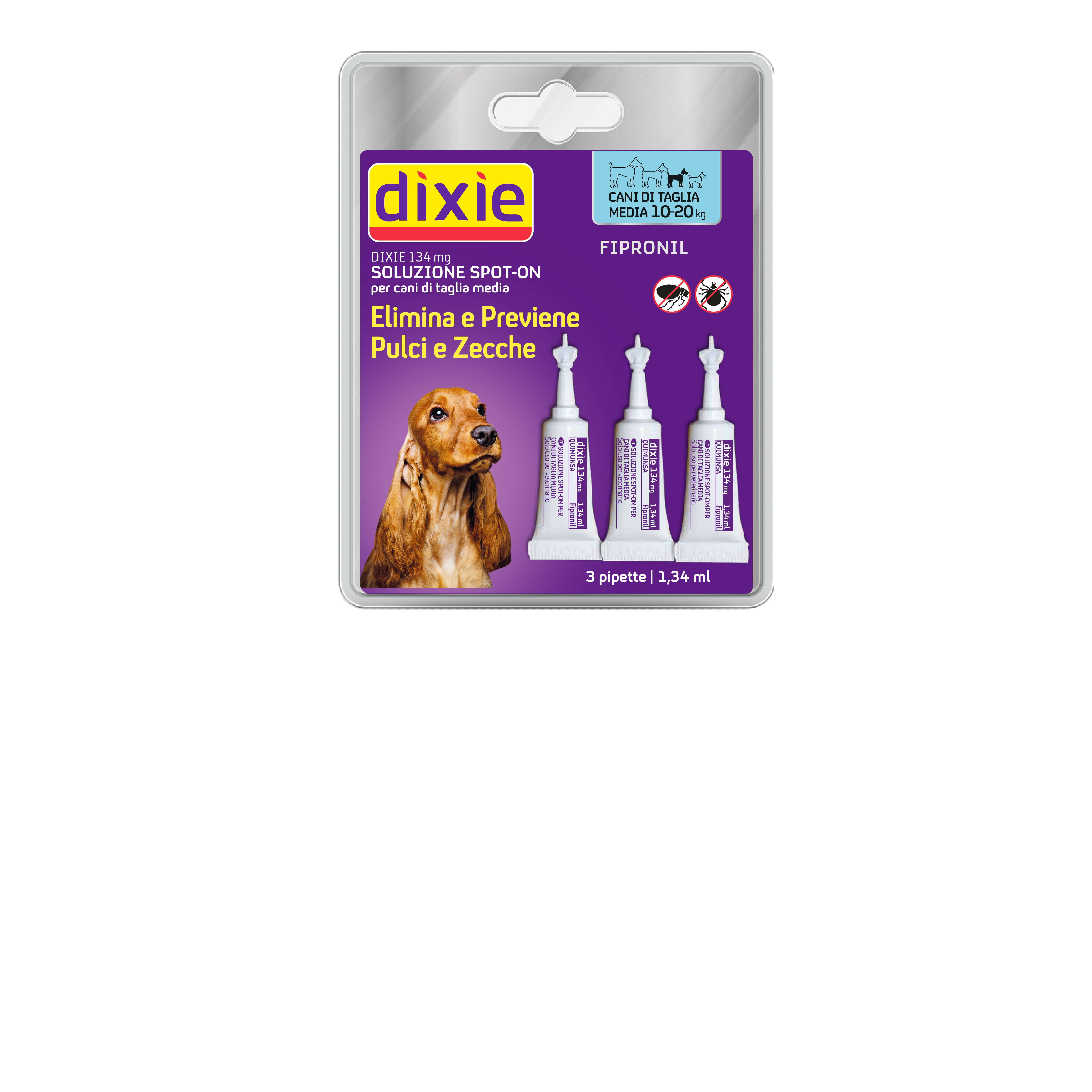 Dixie - 