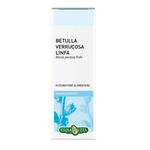 Erba vita - Gemmoderivato betulla linfa 50