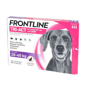 Frontline - 
