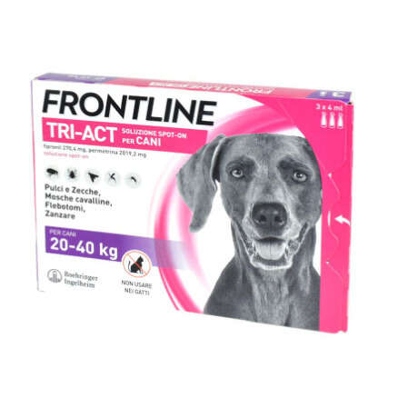 Frontline - 