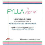 Fylladerm - Medicazione non aderente  a base di acido ialuronico 10 x 10 cm 10 buste