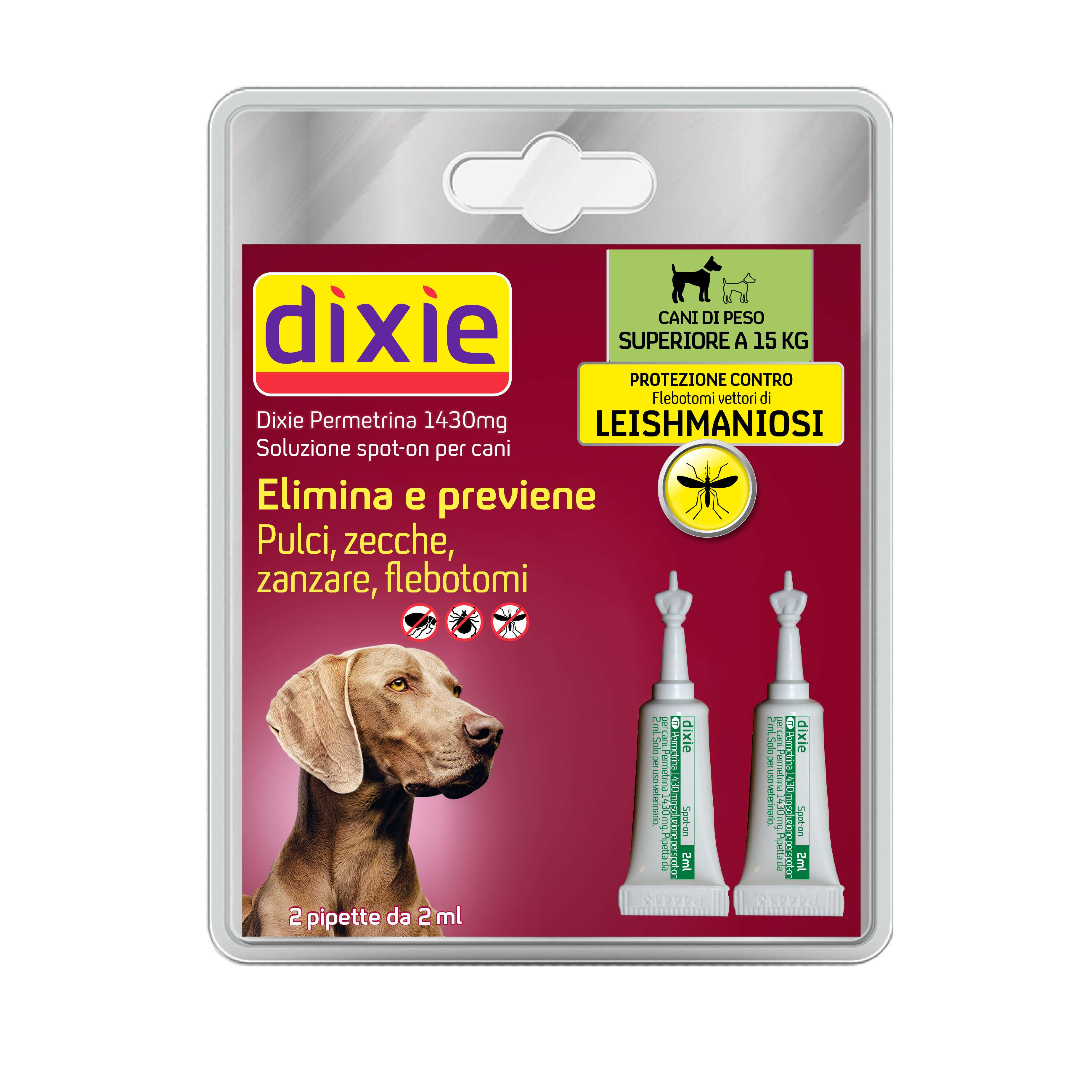 Dixie - 